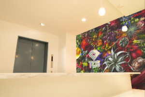 TCB東京中央美容外科ほくろ除去東京院内画像1