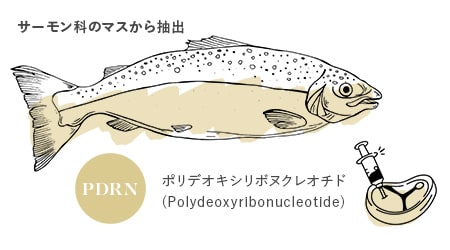 サーモン科のマスから抽出