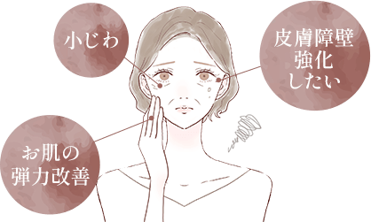 小じわ/皮膚障壁強化したい/お肌の弾力改善