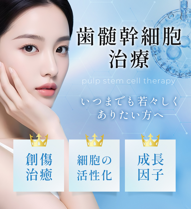 【歯髄幹細胞治療】いつまでも若々しくありたい方へ