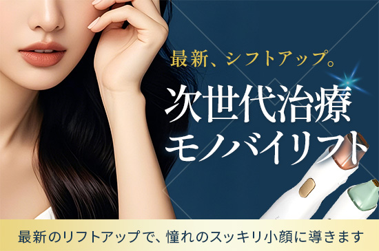 モノバイリフト