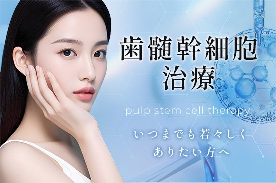 歯髄幹細胞治療