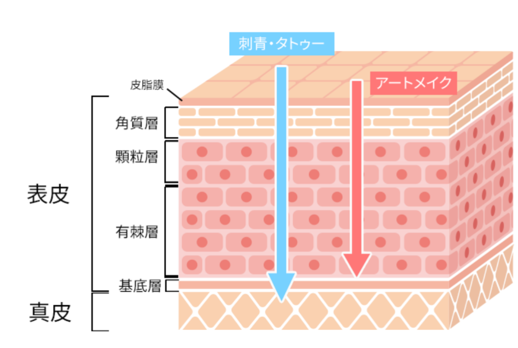 定着の仕組み