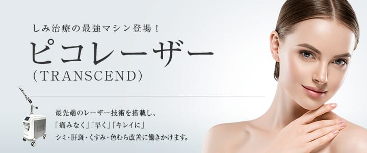 東京美容外科【東京4院】FV