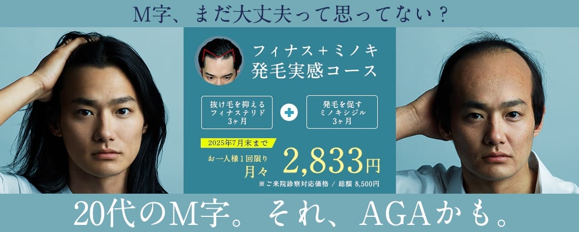 湘南美容外科AGA治療FV